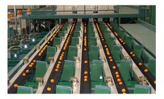 Model PK Type - Tray Conveyor Sorter