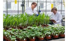 AgroChemex - Glasshouse Studies Services