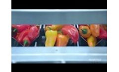 Newtec High Speed Container Filler Video