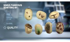 Newtec Optical Grading of Potatoes by Quality, Size and Shape