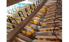 Newtec Celox - Model P-UHD - Optical Sorting Machine