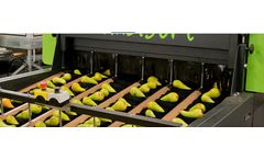 CombiSort - Fruit Grading Machine