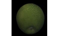 Greefa - External Fruit Quality Measuring Systems (iQS)