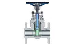Elite-Flow - Model API 602 - Forged Steel Gate Valve