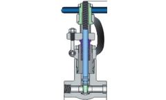 Elite-Flow - Model API 602 - Forged Steel PSB Gate Valve