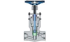 Elite-Flow - Model API 602 - Forged Steel PSB Globe Valve