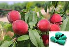 ECOMAN - Peach Fruit Moth Lure