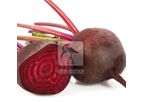 Model HB-48 SNEHA - Beet Root