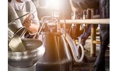 Dairy Equipment