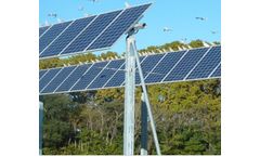 Solar Panels for Market Gardening