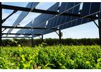 Agrivoltaism - Double Photovoltaic Solar Panels System