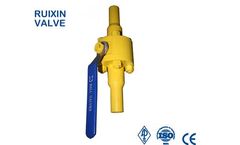 Ruixin Valve - Forged BW Ball Valve with extend nipple