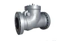 Ruixin Valve - High Pressure Sealed Swing Check Valve