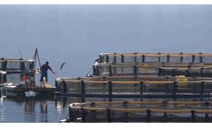 KAMAHU - Farm Control SaaS Software for Efficient Aquafarming