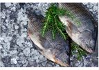 Fresh Whole Round Tilapia