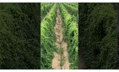 Manufacturer of agricultural micro irrigation, i.e. drip irrigation and mini sprinkler irrigation.- Video