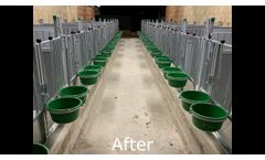 Topcalf - Calf Pens - Video