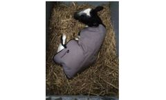 Topcalf - Calf Bodywarmer