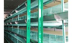 Livi - Chicken Plucking Machine