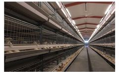 Livi - Automatic Broiler Cage System