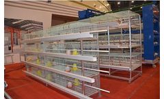 Livi - Baby Chick Eage System