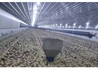 Broiler Raising Equipment - Automatic Broiler Pan Feeding System