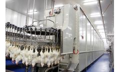 Chicken Slaughter - Chicken Slaughter