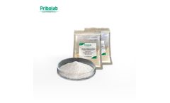 Pribolab® - Model MRM-BEO - Benzopyrene in edible oil Reference Material