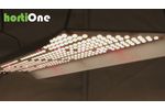 hortiONE LED grow lights - Video
