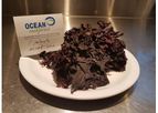 Ocean-Rainforest - Palmaria Palmata Seaweed