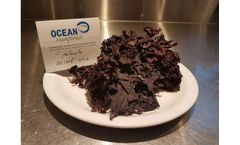 Ocean-Rainforest - Palmaria Palmata Seaweed