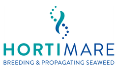 Project Macrosea finalised; innovative solutions and applicable results for seaweed farming