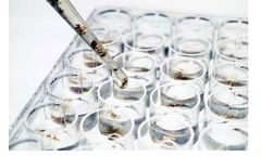 Hortimare - Seaweed Breeding Services for Successful Varieties