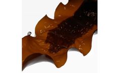 Hortimare - High Quality Seaweed Seedlings Service
