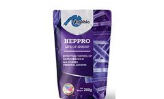 Heppro - Parahaemolyticus