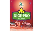 Envozyme - Model DIGE-PRO - Gut Probiotic Shrimp Feed