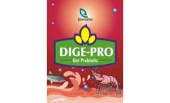 Envozyme - Model DIGE-PRO - Gut Probiotic Shrimp Feed