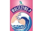 Multezyme - Model P - Novel Probiotic & Enzyme Mixture