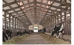 Havit-Steel - Steel Structure Livestock Buildings