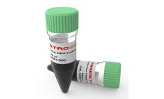 MaestroGen AccuRuler - Model 02001-500 - 100bp DNA Ladder