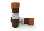 MaestroSafe - Model MR-031201 - Nucleic Acid Loading Dye