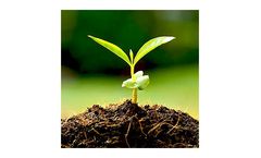 Bacterial Formulations for Sustainable Agriculture