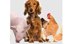 Bacterial Formulations for Animal Nutrition and Pet Health