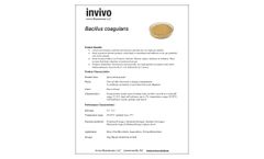 Invivo - Bacillus Coagulans - Datasheet