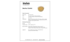 Invivo - Bacillus Subtilis - Datasheet
