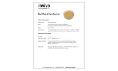 Invivo - Bacillus Licheniformis - Datasheet