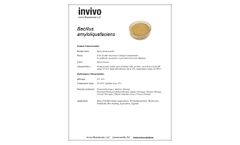 Invivo - Bacillus amyloliquefaciens - Datasheet