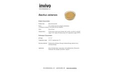 Invivo - Bacillus Velzensis - Datasheet