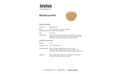 Invivo - Bacillus Pumilis - Datasheet