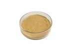 Invivo Biosciences - Bacillus Subtilis Probiotics